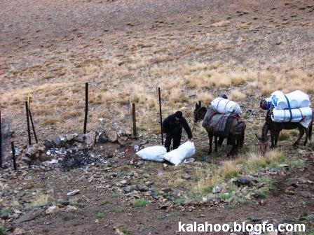 بیان حاتمی در حال جمع آوری زباله های پناهگاه سرچال